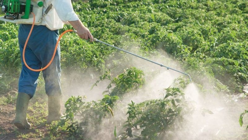 Campesinos piden control de la venta de agroquímicos a las autoridades de Tarija