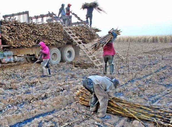 Denuncian  falta de cancelación de sueldos los trabajadores de IABSA (Bermejo)