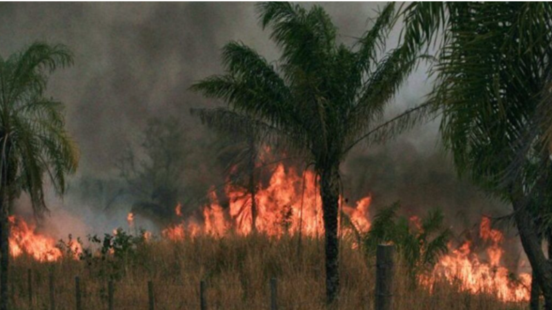 Lluvia apaga el fuego en Tarija y Cochabamba, pero en Santa Cruz y La Paz no da tregua