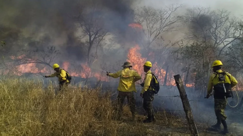 Miles de familias son afectadas por incendios forestales