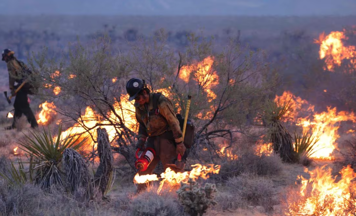 Los incendios forestales afectaron a 2,6 millones de hectáreas en el país