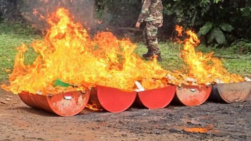 Felcn incinera 299,7 kilos de cocaína incautada al narcotráfico