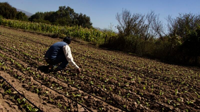 Alcalde de Tarija entrega implementación para la habilitación del “Sistema de riego tecnificado” en beneficio de 22 comunidades