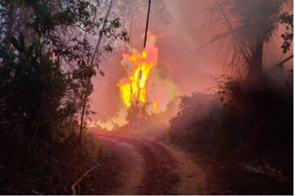 Incendios forestales: Arce anuncia la llegada de expertos y bomberos de Brasil, Chile y Francia