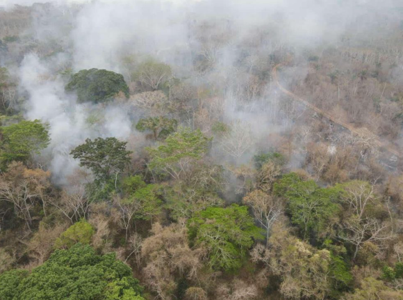 COED: Santa Cruz atraviesa el ‘mayor desastre ambiental’, con 7 millones de hectáreas quemadas