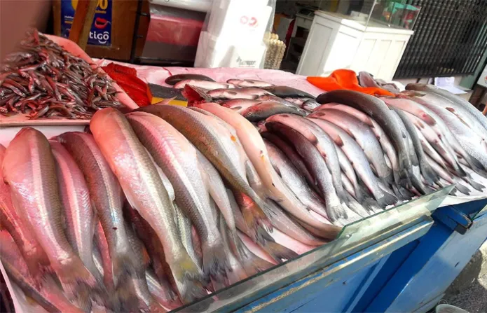 Intendencia de Tarija reporta un incremento de precio del pescado en mercados
