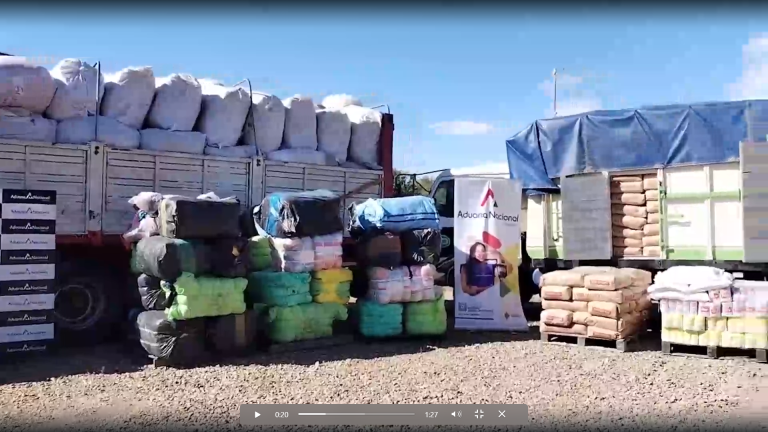Decomisan en Tarija 35,6 toneladas de mercancía ilegal de origen chino y argentino