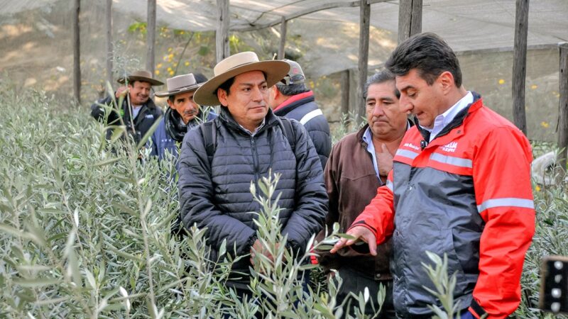 Alcaldia de Tarija entrega 10 mil plantines