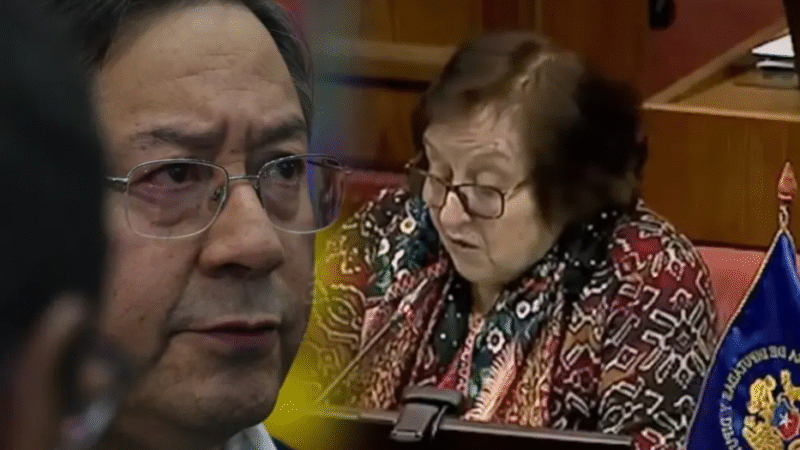 Diputada chilena María Luisa Cordero califica de ‘tontorrones’ a bolivianos por falta de oxígeno en la altura.