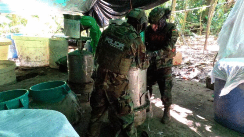 Jame Mamani: Algunos políticos ‘tienden alfombra roja’ para la DEA