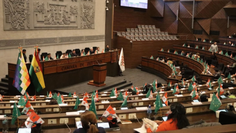 Diputados modifican proyecto de ley subnacional y devuelven el texto al Senado