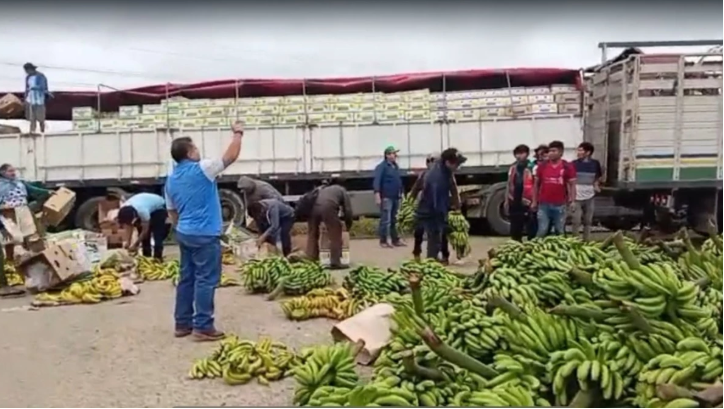 Productores de banano desechan su producción en protesta por los bloqueos en el Trópico de Cochabamba