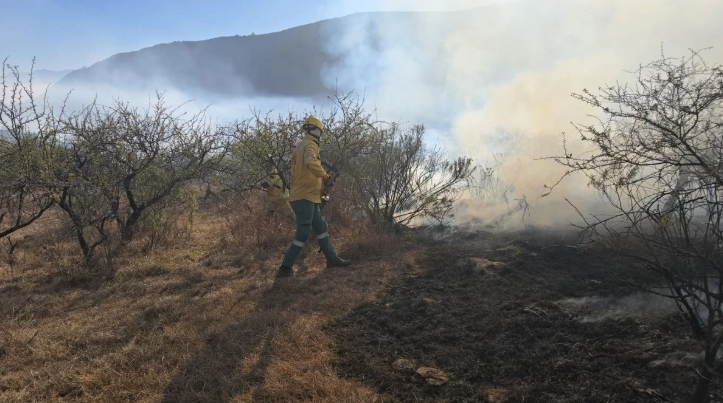 Incendio en Churquis consume al menos 100 hectáreas y sigue fuera de control.
