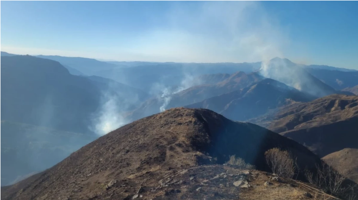 Incendio forestal en Quirusillas continúa fuera de control y otro foco se registra en Erquiz Ceibal