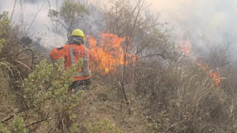 Senamhi reporta 805 focos de calor; Santa Cruz concentra la mayor cantidad de puntos críticos